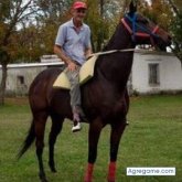 Encuentra Hombres solteros en Caseros, Entre Ríos Argentina.