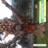 eliasvillca chico soltero en Coronel Pringles