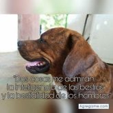 Foto de perfil de ElRalex