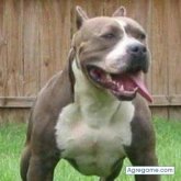 Chatear con albertoburitica de San Félix