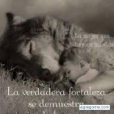 davidrojas6387 chico soltero en Quito