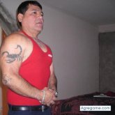 cocolucho chico separado en Chosica