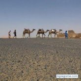 said_mundo chico soltero en 