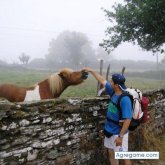 MICOLAPIZ chico soltero en Alquerías Del Niño Perdido