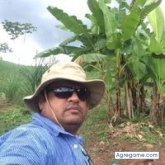 tigerpanama