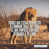 Vinicio Caliz