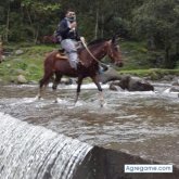 Chatear con juandavid2 de Pedregal