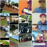 Matheo 345