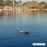 Chatear con luisfelipe3648 de Saltillo