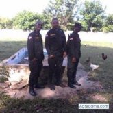 Eltolete chico soltero en Manoguayabo