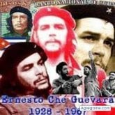 Foto de perfil de rennyalexander8051