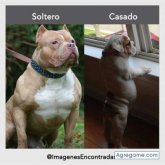 Foto de perfil de Adrianlukas