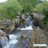 jazar3871 foto #7