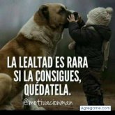 Foto de perfil de Jariljona
