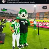 michelandres6638