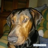 Foto de perfil de Mingo00