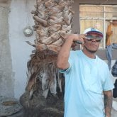 Busco ligar. Mujer gordita de 34 a 45 y