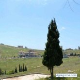 Chatear con mohamadali de Ciudad Guayana