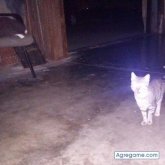 Chatear con pedrimmn de Onda