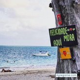 Chatear con hectorestigarribia de Puerto Rico Misiones