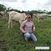 Carcal chico soltero en Upala