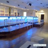 josssanchez chico soltero en Hervas