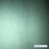 Chatear con Naseer de Suiza