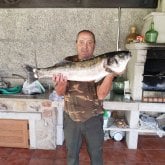 Oliver60