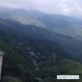 dicarlo7273 chico soltero en Palmar De Varela