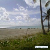 josejavea foto #8