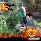 Foto de perfil de alexdiaz8131