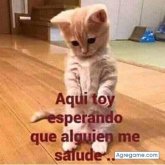 qctrompiogonzalez chico soltero en Paraná