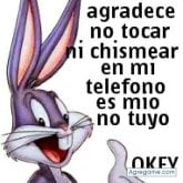 Foto de perfil de danilodauner