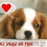 sombra2 chico soltero en San Rafael