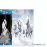 euglydislucelia foto #27