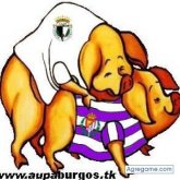 arkero chico soltero en Burgos