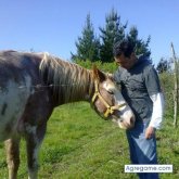 predator2012 chico divorciado en Santa Juana