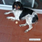 Chatear con Julianxato de Seseña Nuevo