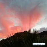jesulim chico separado en La Florida San Bartolome De Lanzarote