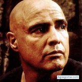 Chatear con Brandauer de San Bernardo