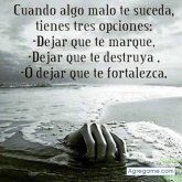 Joshep Velazquez