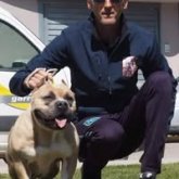 Campo. Muy cariñoso y divertido. Acer