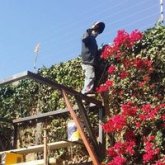 Herrero. Mujeres maduras me encantan.