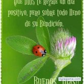 Chatear con Bries de Chiautla