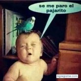 Chatear con chuy1313 de Pasadena