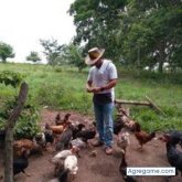 Pensionado. Busco pareja.