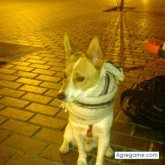 thor foto #52