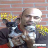 kiket foto #14