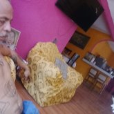 Chicas muchas chicas. Relajo muy relajo.