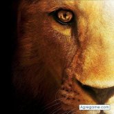 Chatear con brunobenavidez de Ituzaingó